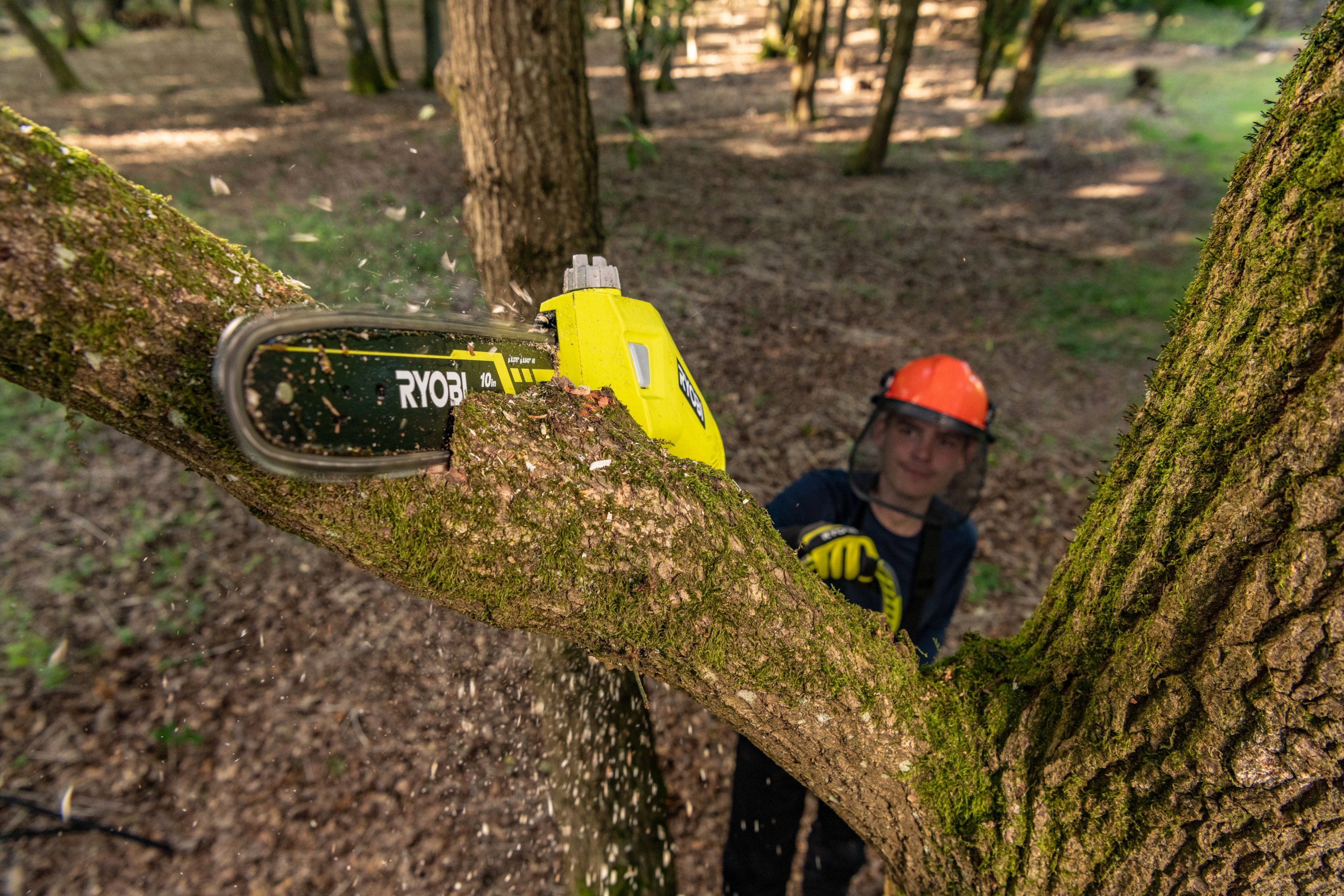 RY36PP25A-0-App_1.jpg RY36PP25A-0-App_1.jpg